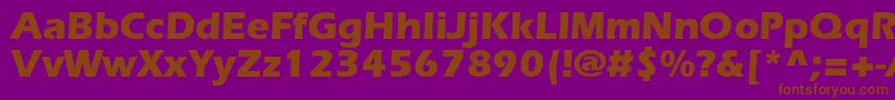 ErlangenblackdbNormal Font – Brown Fonts on Purple Background