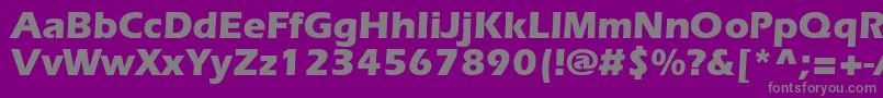 ErlangenblackdbNormal Font – Gray Fonts on Purple Background