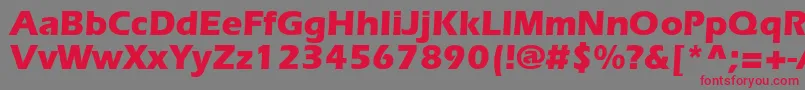 ErlangenblackdbNormal Font – Red Fonts on Gray Background