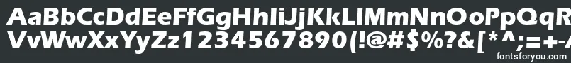 ErlangenblackdbNormal-fontti – valkoiset fontit mustalla taustalla