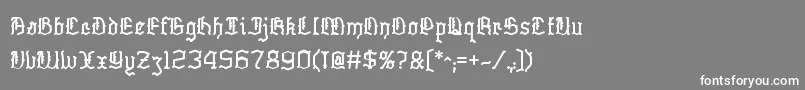 フォントSkelett – 灰色の背景に白い文字
