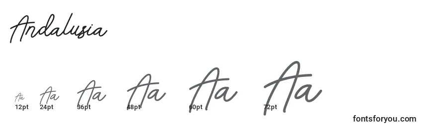 Размеры шрифта Andalusia