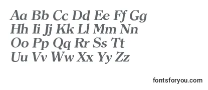 ClearfaceserialBolditalic Font