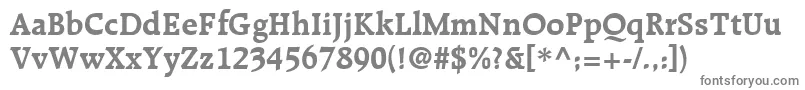 RecognitaSsiBold Font – Gray Fonts on White Background