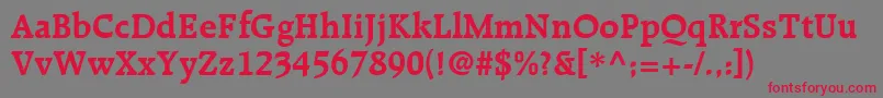 RecognitaSsiBold Font – Red Fonts on Gray Background