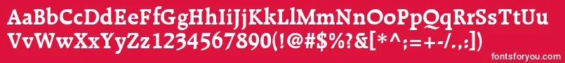 RecognitaSsiBold Font – White Fonts on Red Background