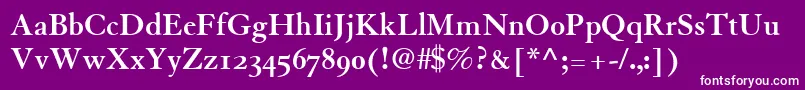 TiascoOldstyleSsiBoldOldStyleFigures Font – White Fonts on Purple Background