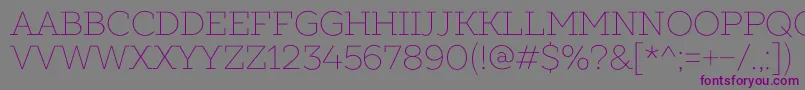 SlabsThin Font – Purple Fonts on Gray Background