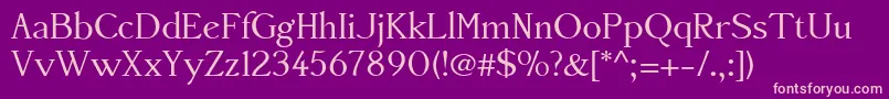 Accanthisadfstdno3Regular Font – Pink Fonts on Purple Background