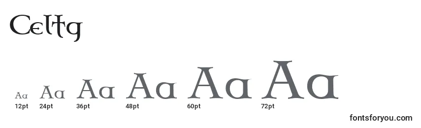 Celtg Font Sizes