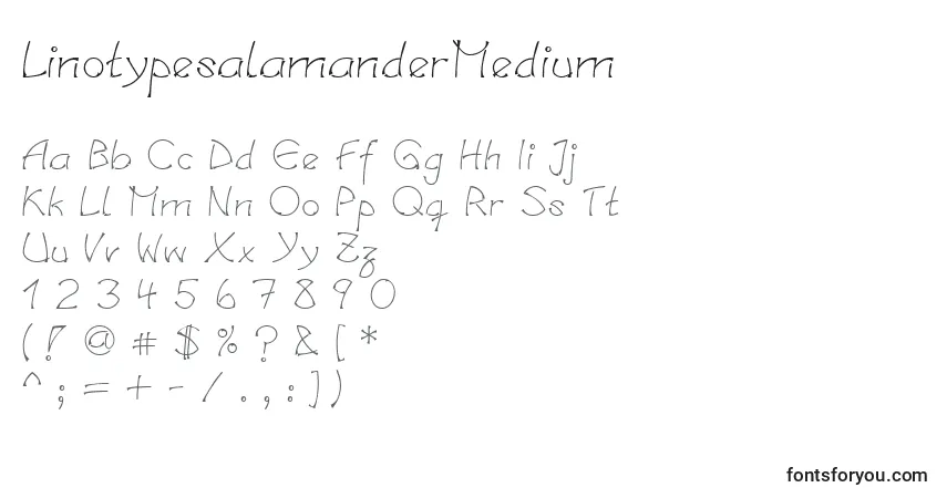 A fonte LinotypesalamanderMedium – alfabeto, números, caracteres especiais