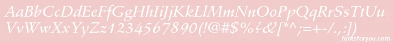 StempelschneidlerstdMedit Font – White Fonts on Pink Background