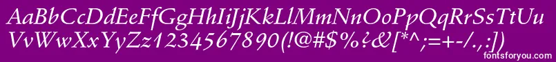 StempelschneidlerstdMedit Font – White Fonts on Purple Background