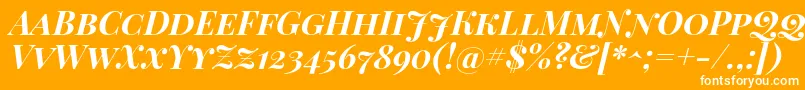 Playfairdisplaysc Bolditalic Font – White Fonts on Orange Background