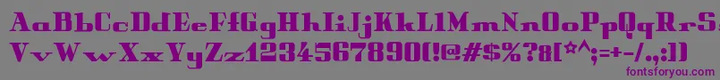 More about Peterobscure Font Peterobscure Font – Purple Fonts on Gray Background