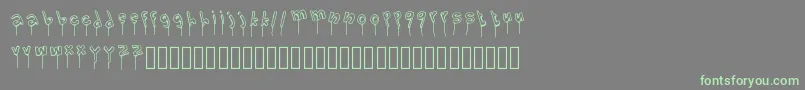 LolipopFont Font – Green Fonts on Gray Background