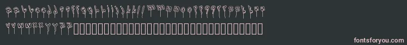LolipopFont Font – Pink Fonts on Black Background