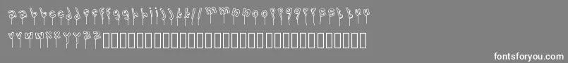 LolipopFont Font – White Fonts on Gray Background