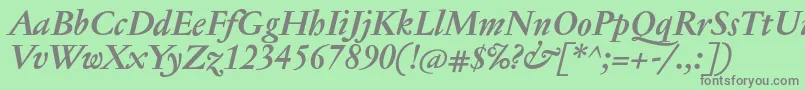 JannontextBolditalic Font – Gray Fonts on Green Background