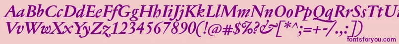 JannontextBolditalic Font – Purple Fonts on Pink Background