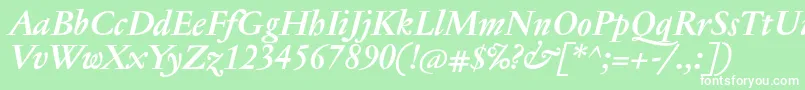 JannontextBolditalic Font – White Fonts on Green Background