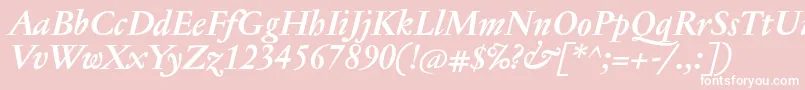 JannontextBolditalic Font – White Fonts on Pink Background