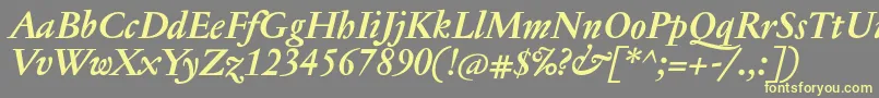 フォントJannontextBolditalic – 黄色のフォント、灰色の背景