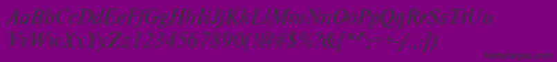 NimbusromdcyItalic Font – Black Fonts on Purple Background