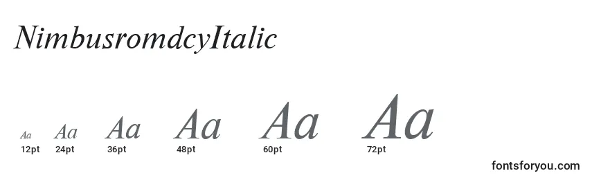 Размеры шрифта NimbusromdcyItalic