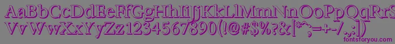 BernsteinshadowRegular Font – Purple Fonts on Gray Background