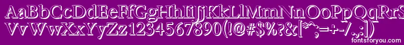 BernsteinshadowRegular Font – White Fonts on Purple Background