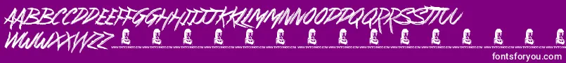SuburbanLegends Font – White Fonts on Purple Background