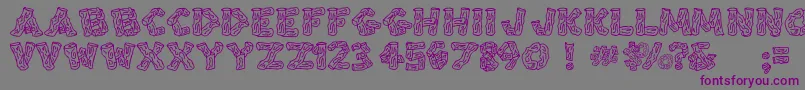 フォントSplinters – 紫色のフォント、灰色の背景