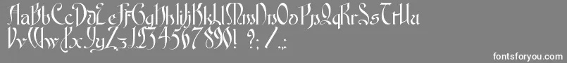 FontenayFancyKk Font – White Fonts on Gray Background