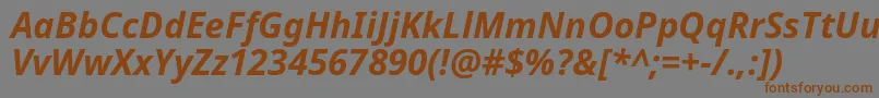 NotoSansBoldItalic Font – Brown Fonts on Gray Background