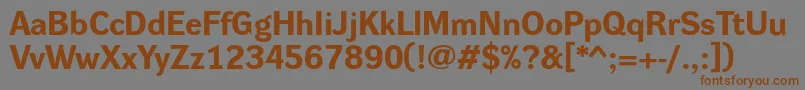 Weitere Informationen zur DynagroteskreBold-Schriftart DynagroteskreBold-Schriftart – Braune Schriften auf grauem Hintergrund