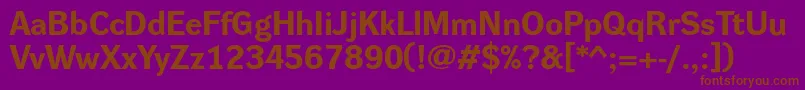 DynagroteskreBold Font – Brown Fonts on Purple Background