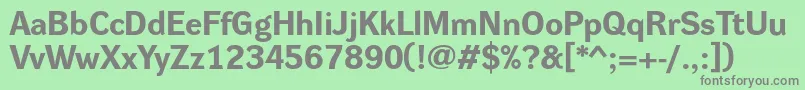 DynagroteskreBold Font – Gray Fonts on Green Background
