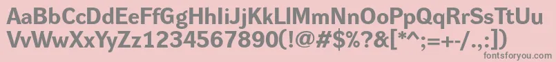 DynagroteskreBold Font – Gray Fonts on Pink Background