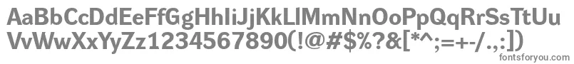 DynagroteskreBold Font – Gray Fonts on White Background