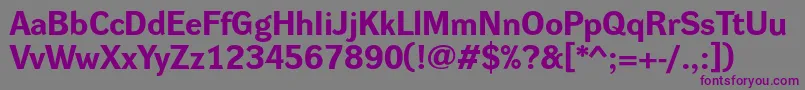 Шрифт DynagroteskreBold – фиолетовые шрифты на сером фоне