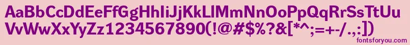 DynagroteskreBold Font – Purple Fonts on Pink Background