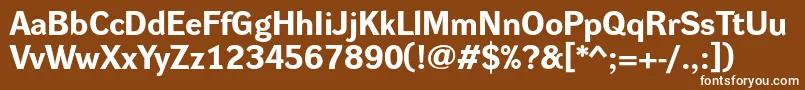 DynagroteskreBold Font – White Fonts on Brown Background