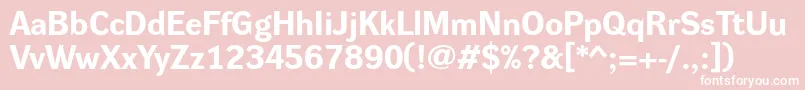 DynagroteskreBold Font – White Fonts on Pink Background