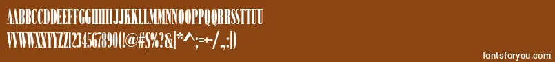 BodoniNo2NarrowUltraRegular Font – White Fonts on Brown Background