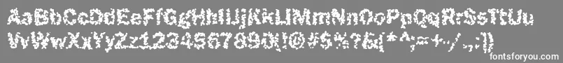 フォントFunky25Bold – 灰色の背景に白い文字