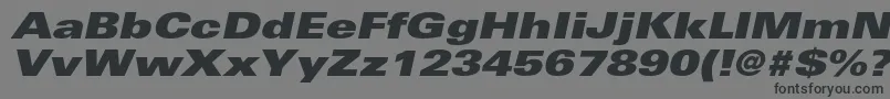UniversltstdXblackexobl Font – Black Fonts on Gray Background