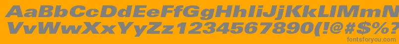 UniversltstdXblackexobl Font – Gray Fonts on Orange Background