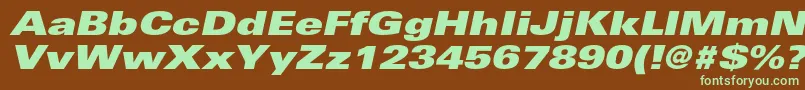 UniversltstdXblackexobl Font – Green Fonts on Brown Background