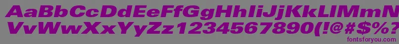 フォントUniversltstdXblackexobl – 紫色のフォント、灰色の背景